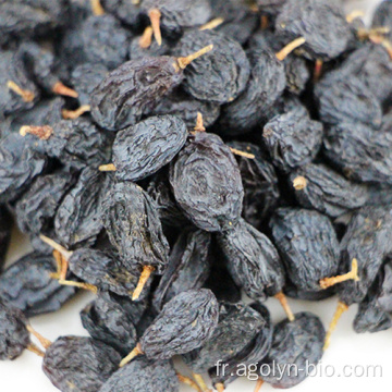 Délicieuses raisins secs de raisons noires de haute qualité pour l&#39;exportation